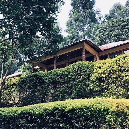 Bwindi Forest Lodge Buhoma Exterior photo