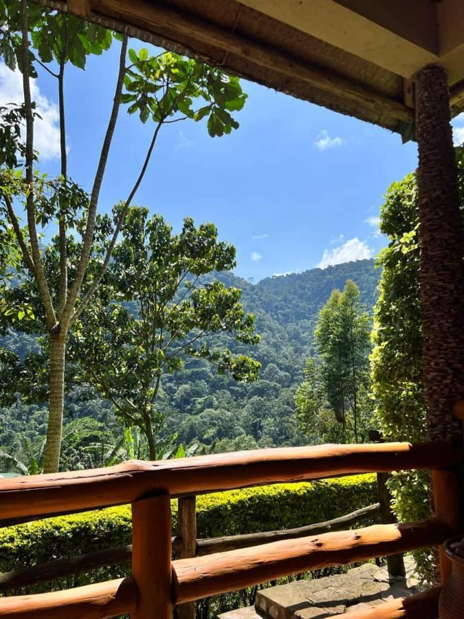 Bwindi Forest Lodge Buhoma Exterior photo