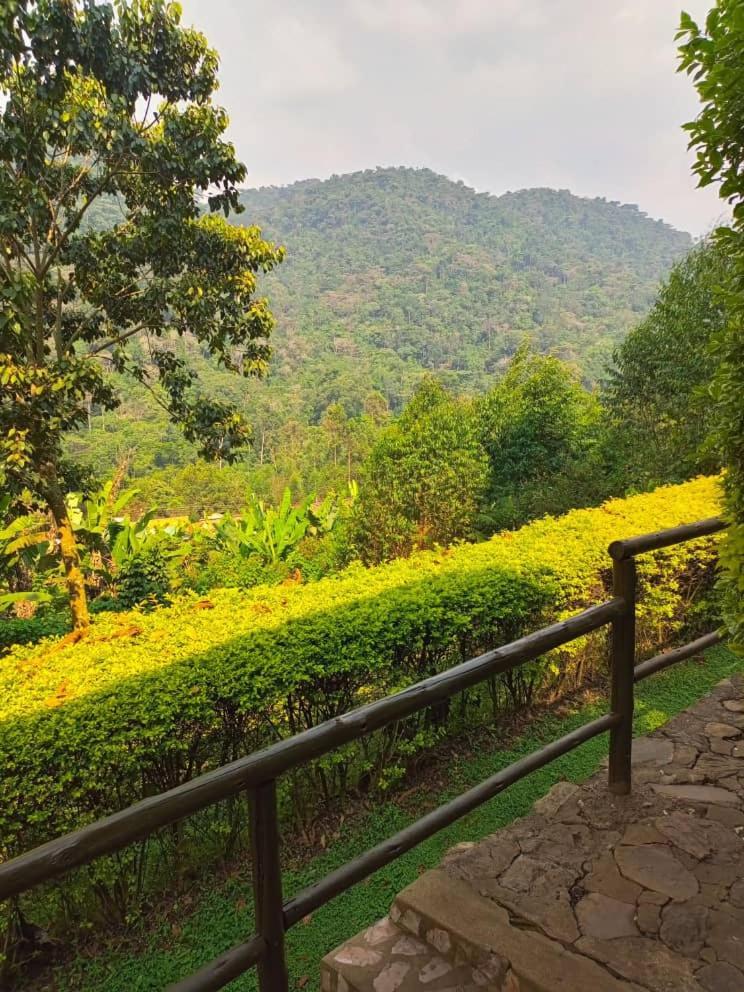 Bwindi Forest Lodge Buhoma Exterior photo