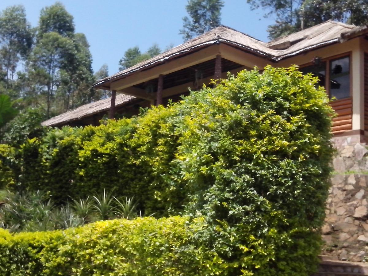 Bwindi Forest Lodge Buhoma Exterior photo